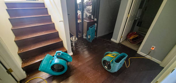 Best Odor Removal and Sanitization After Water Damage in Dixon Lane Meadow Creek, CA