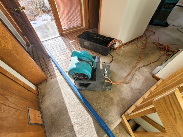 Best Commercial Water Damage Restoration in Dixon Lane Meadow Creek, CA