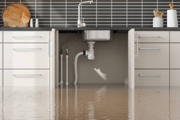 Best Ceiling and Wall Water Damage Repair in Dixon Lane Meadow Creek, CA